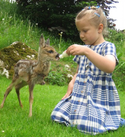 Bambi bei seinem Mittagessen